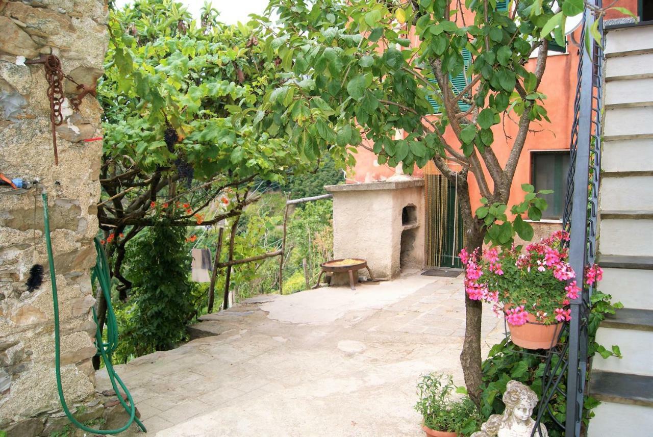 Chez Il Pino Vernazza Vista Mare Luaran gambar